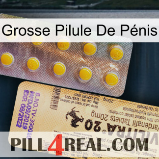 Grosse Pilule De Pénis new06